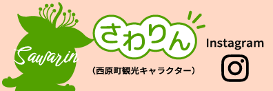 さわりん(西原町観光キャラクター) Instagram